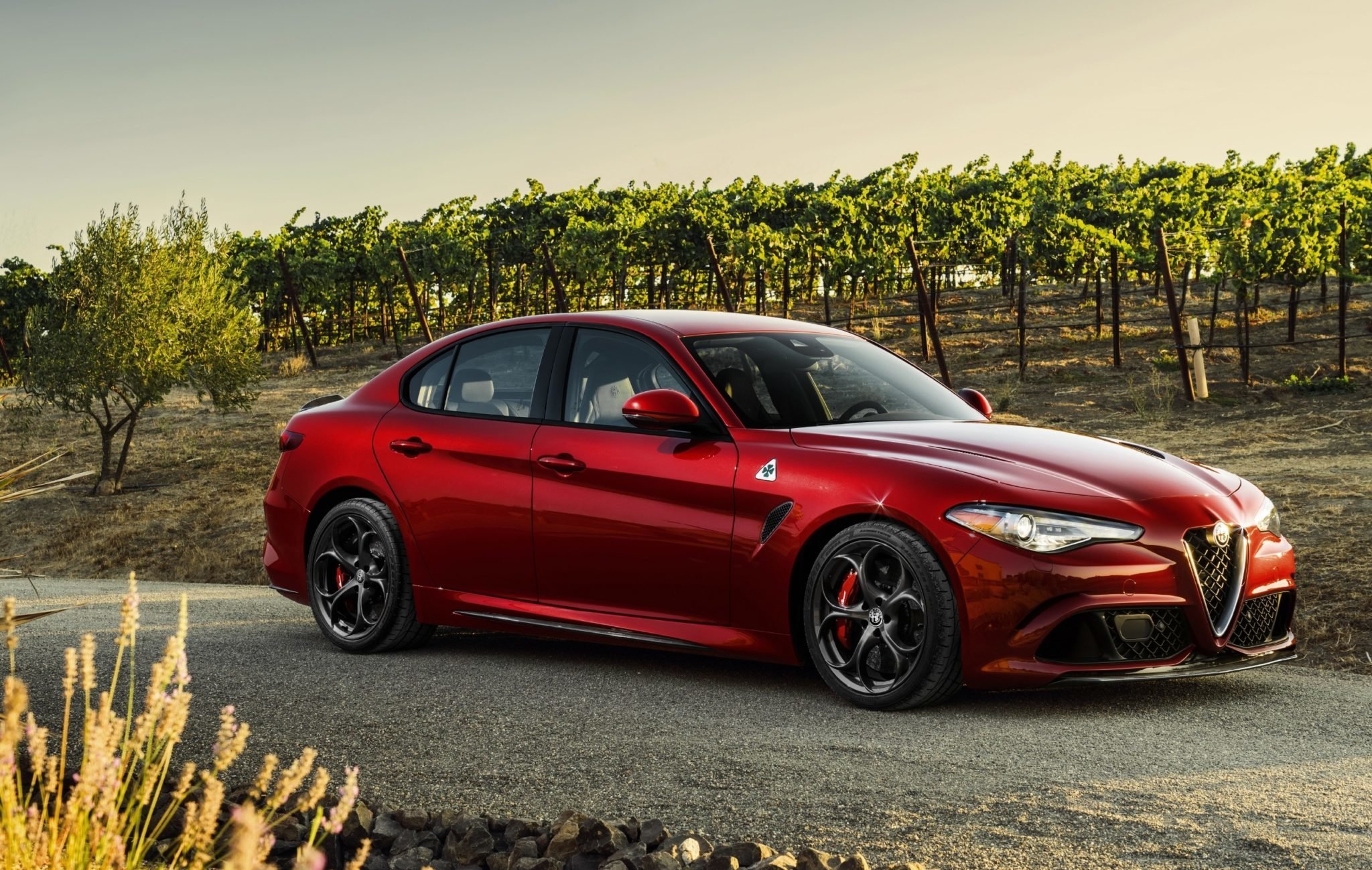 The Newest Luxury Sports Sedan by Alfa Romeo