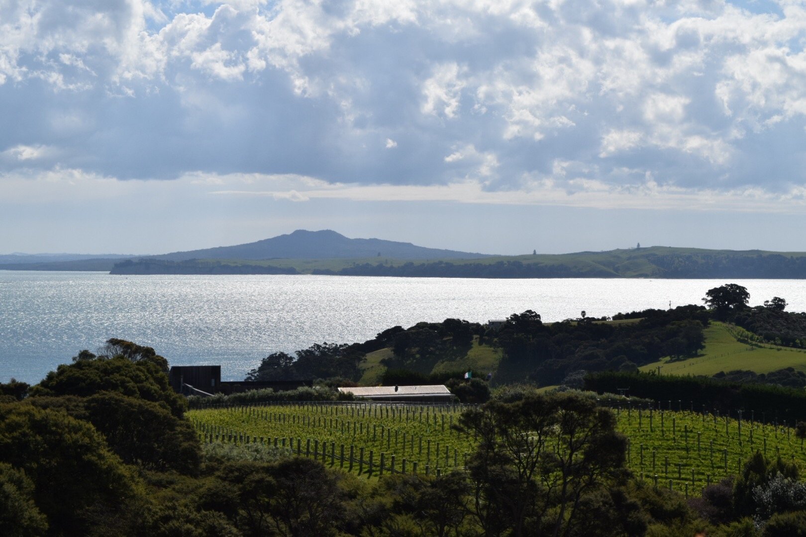 An Afternoon Artisan Tour of Waiheke Island in New Zealand
