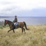 California | Inn at Newport Ranch, Fort Bragg - Horseback Riding