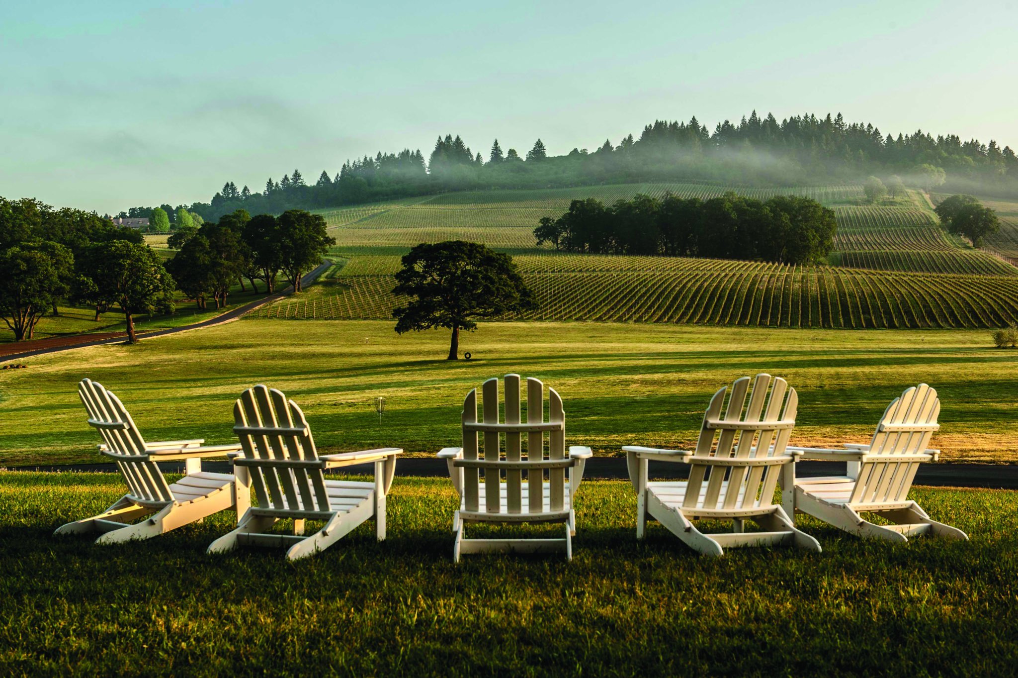 15 Exceptional Winery Experiences in the United States