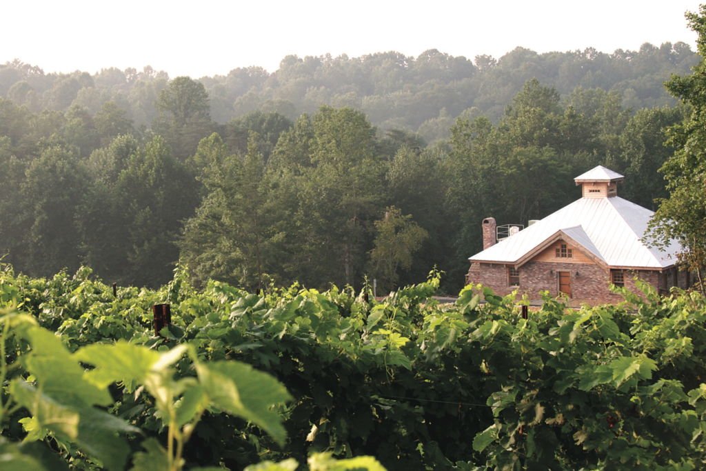 The Growing Popularity of North Carolina Wineries