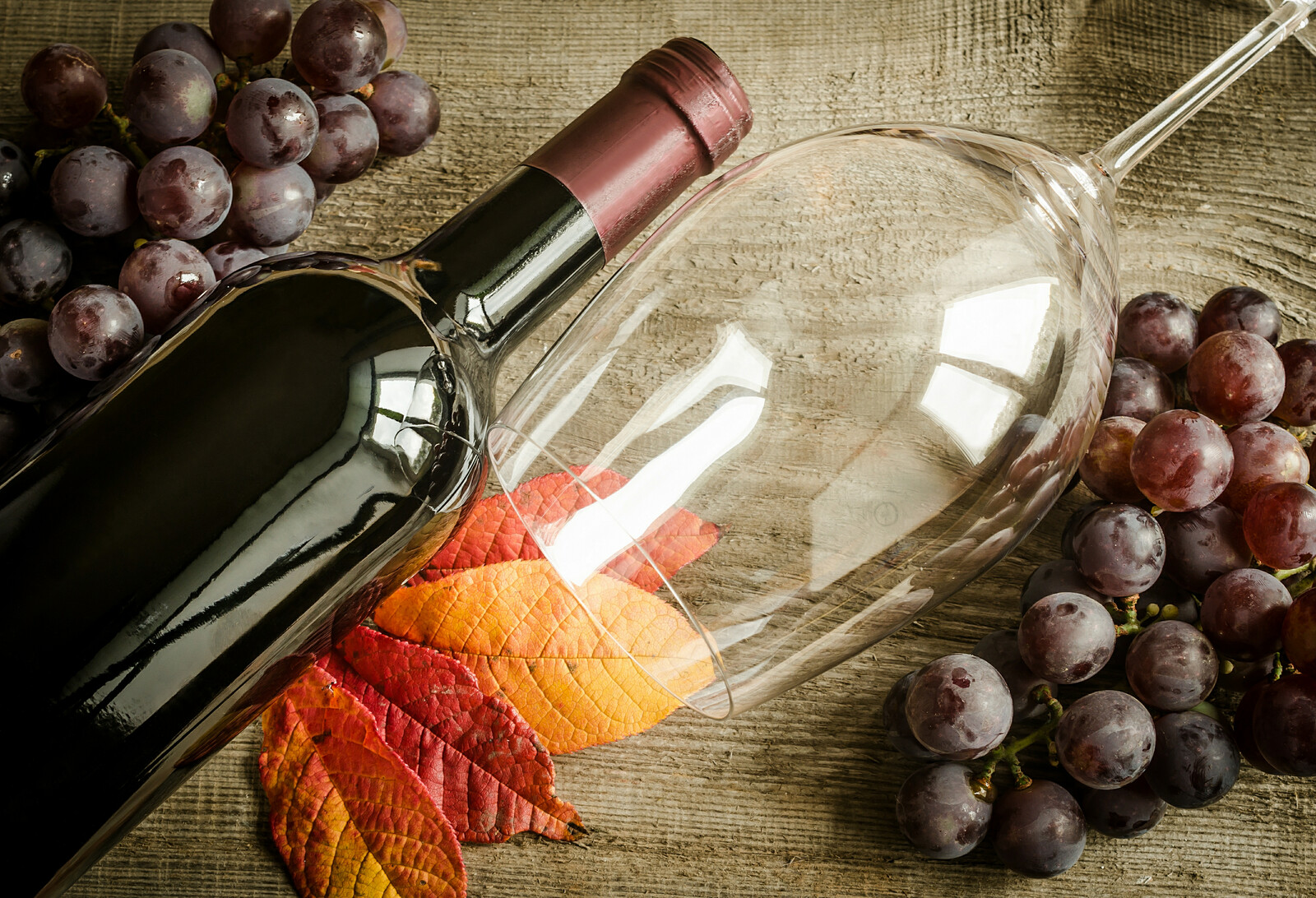 Red Wines Worth Celebrating this Autumn