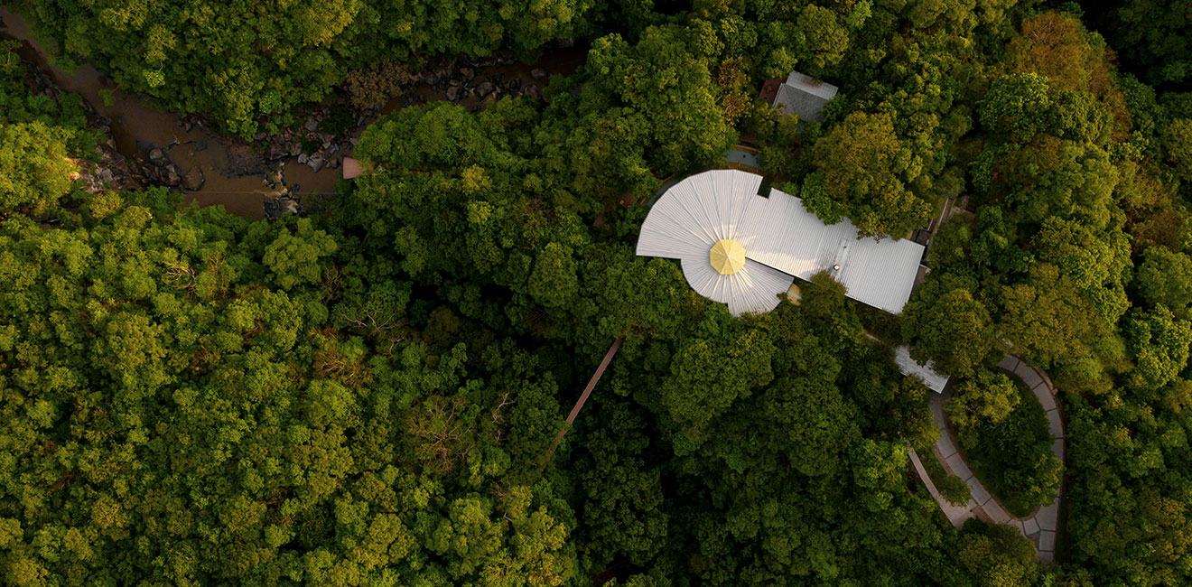 Río Perdido: Costa Rica's Hidden Healing Oasis