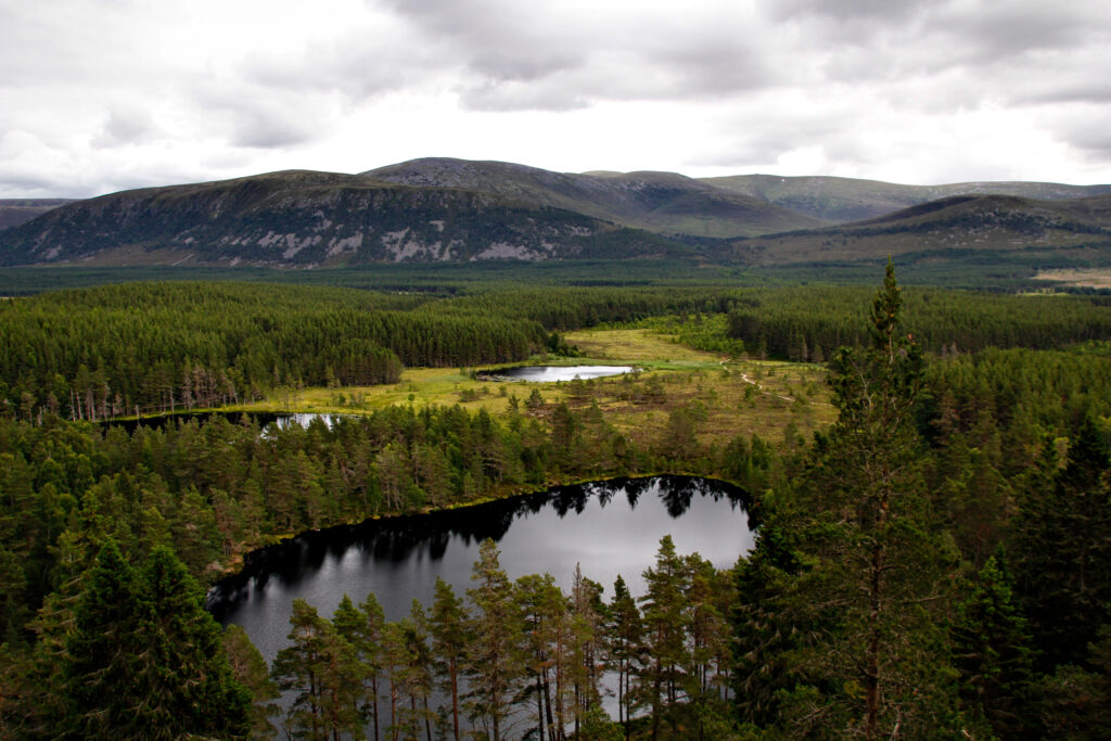 Scenic view of the Uath Lochans lakes, Cairngorms National Park, Scotland, United Kingdom
