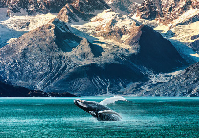 Princess Cruises Announces Expanded Alaskan Voyages