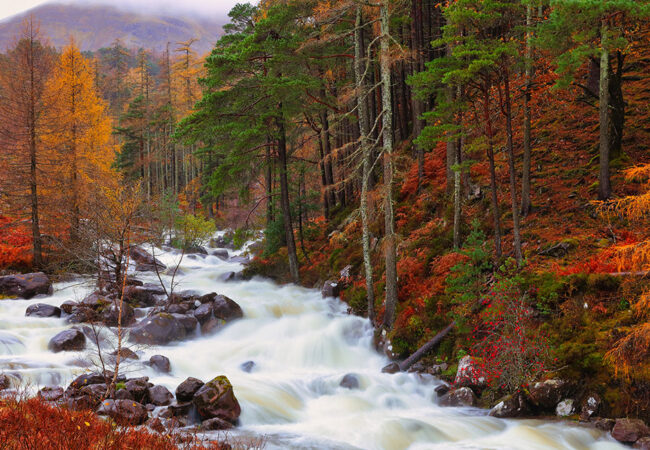 Autumn Adventures in England and Scotland