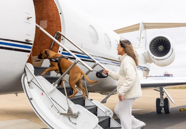 Luxury Pet Travel with K9 JETS