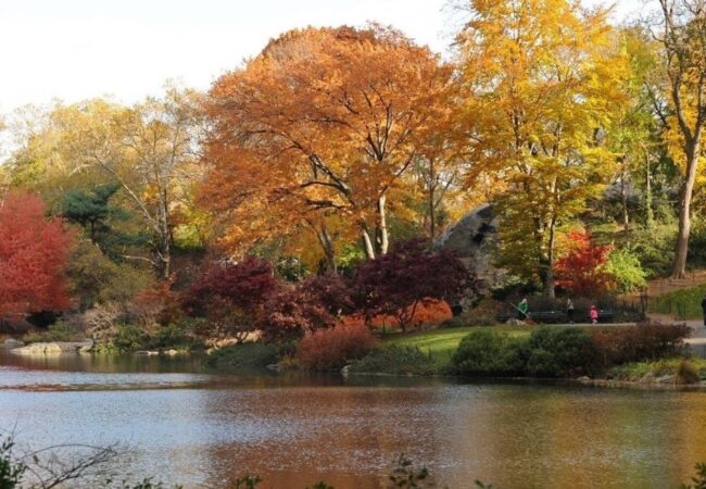 Embracing Autumn in the Big Apple