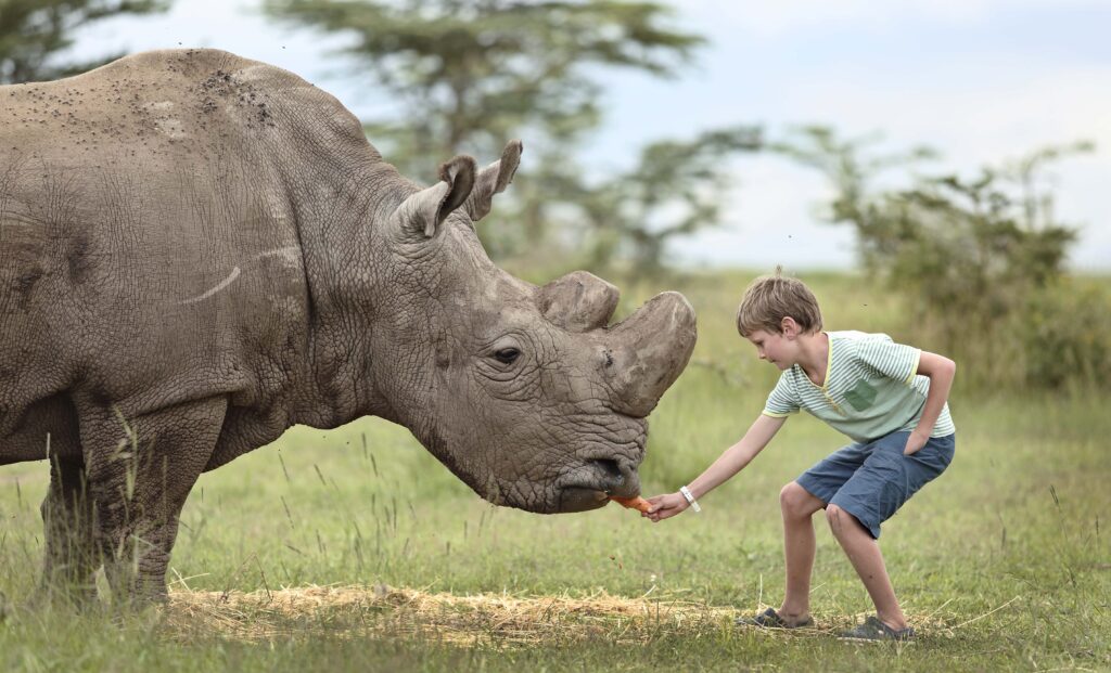 Ol-Pejeta-Bush-Camp-petting-Rhino Africa