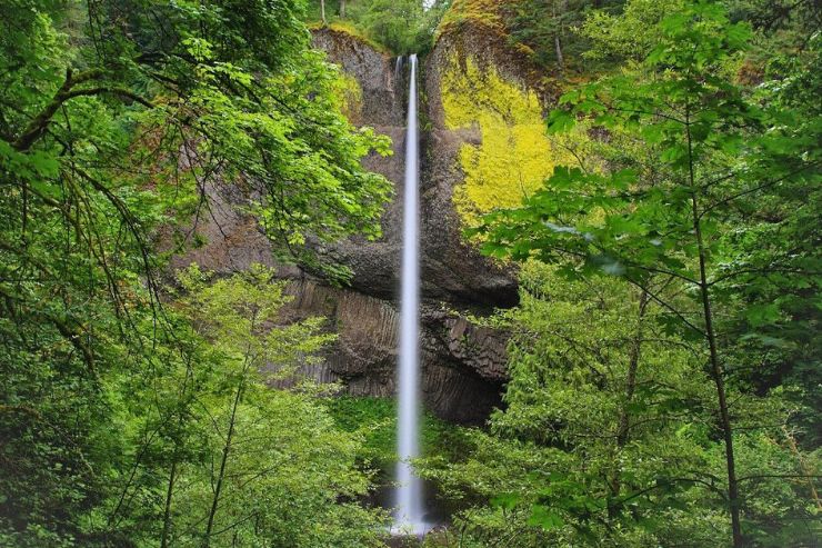 waterfall Willamette