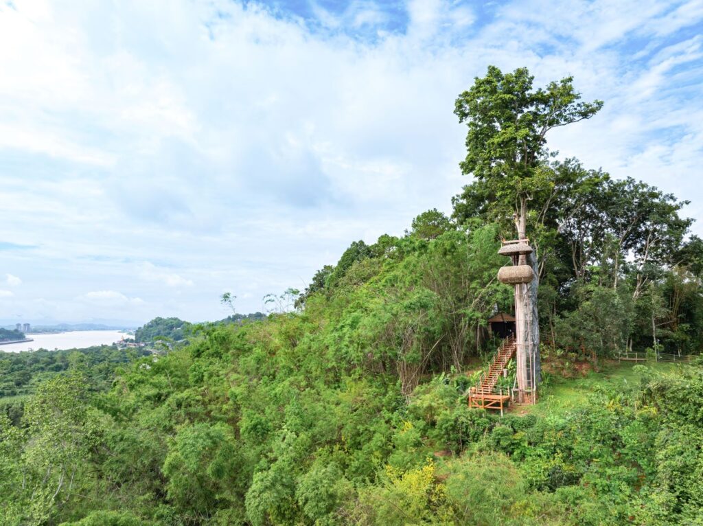 Canopy, a Tree Top Dining Experience_View