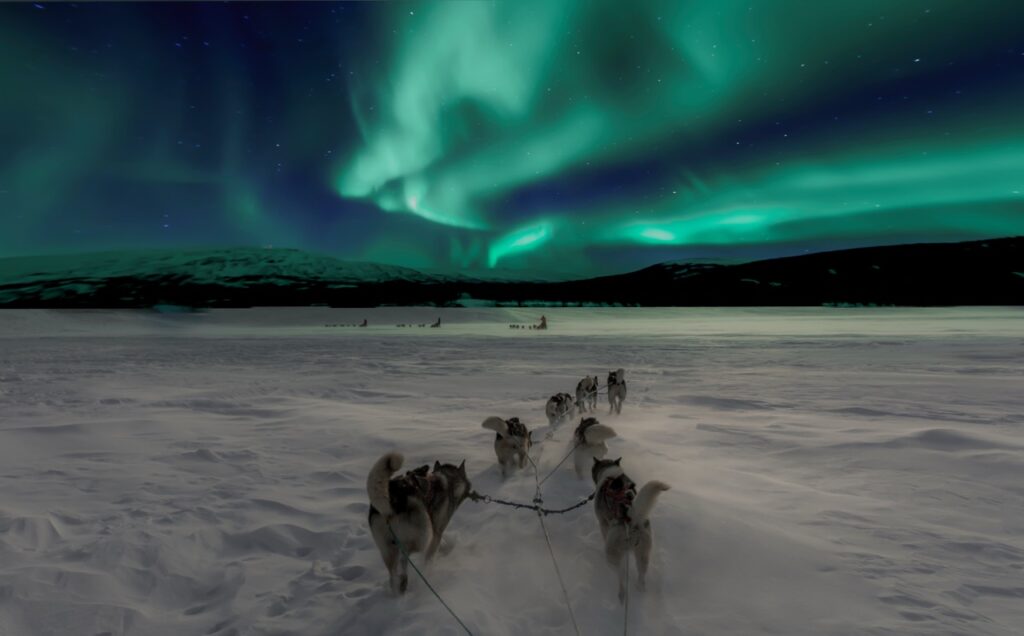 Christmas dogsled and Polarlight Norway