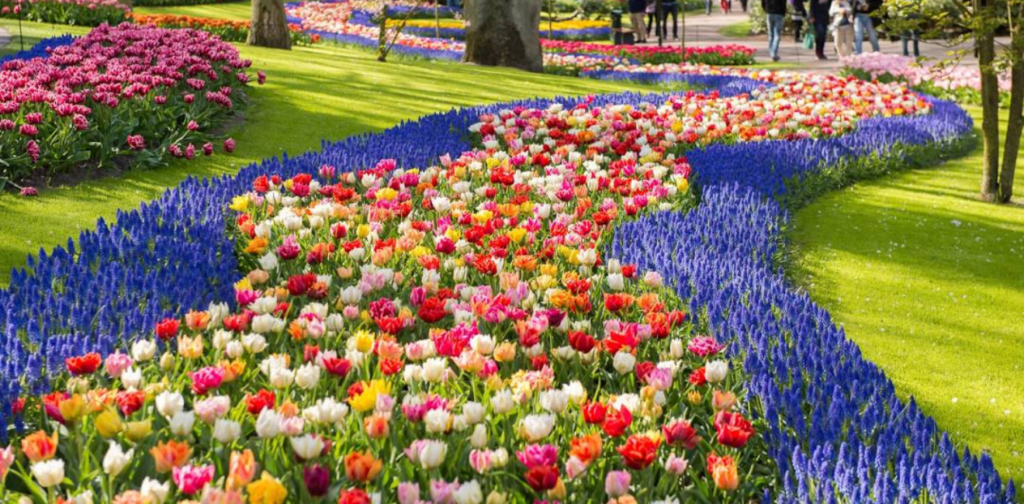 The Netherlands – Keukenhof Gardens